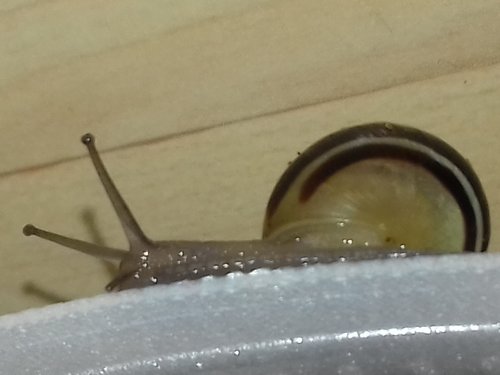 20170529_155040.jpg