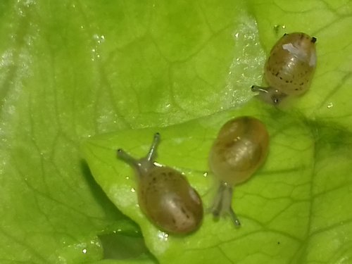 20170529_154354.jpg