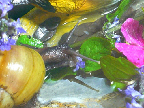 P1300542.JPG