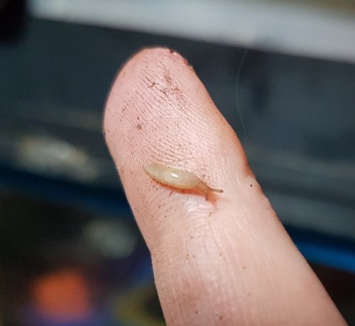 2017-06-03 22.32.17-1.jpg