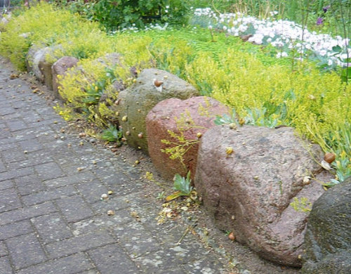 P1300827.JPG