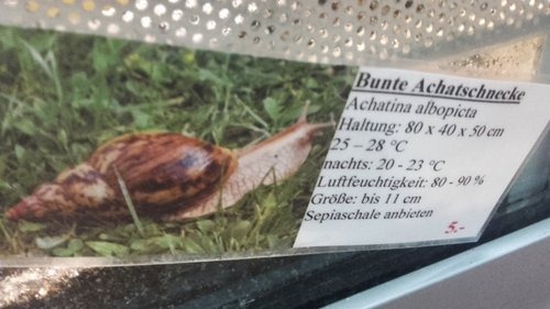 20170505_175043.jpg