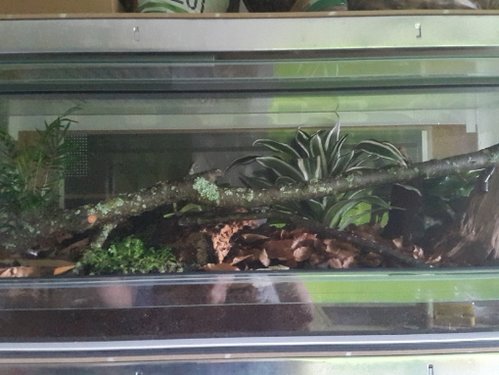 20170604_192943.jpg