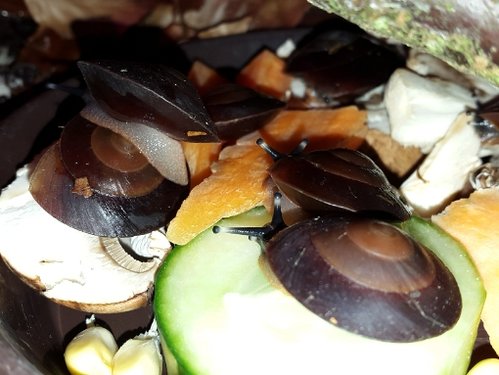 20170607_122121.jpg