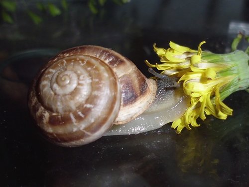 20170607_3609.jpg
