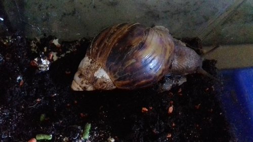 20170613_103950.jpg