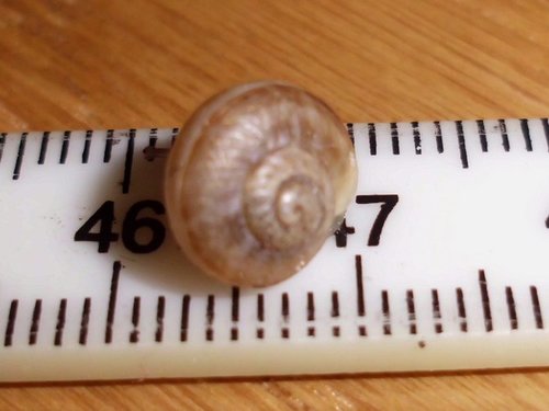 20170613_3761.jpg