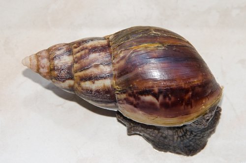 DSC_8776.jpg