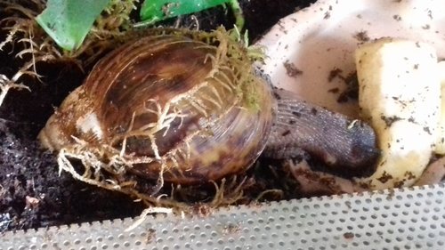 20170616_141537.jpg