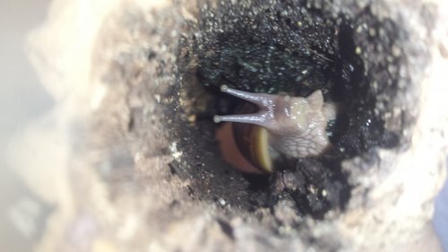 20170508_193448.jpg