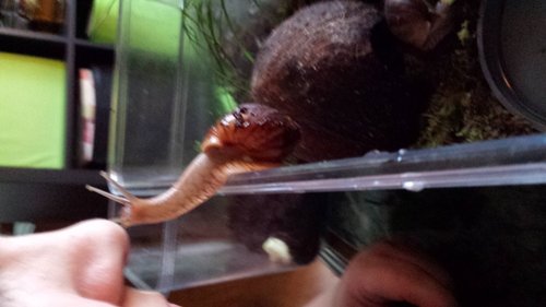 20170602_204218.jpg