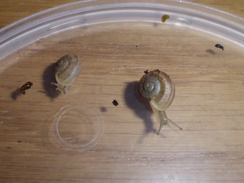 20170617_3834.jpg