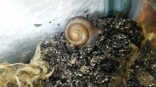 20170622_191408.jpg
