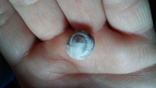 20170623_195019.jpg