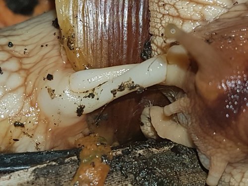 20170625_110145.jpg