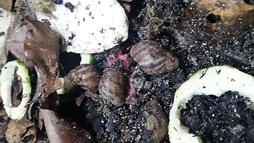 20170629_073219.jpg