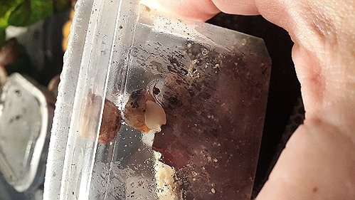 20170629_073505.jpg