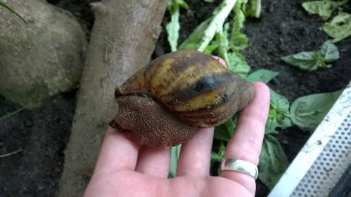 WP_20170629_003.jpg