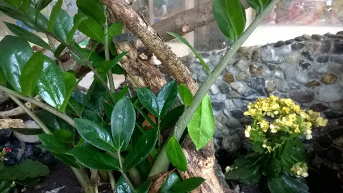 WP_20170629_013.jpg