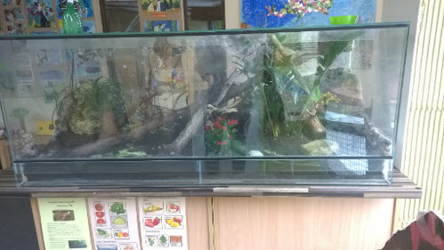 WP_20170629_011.jpg