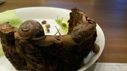 Schnecke 5 Juli.jpg