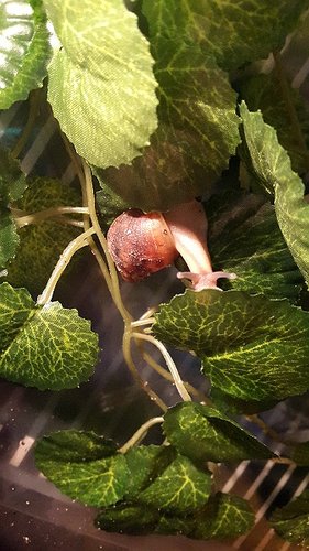 20170711_084435.jpg