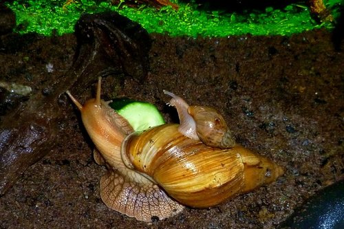 IchBinSchonSoooooGross.JPG