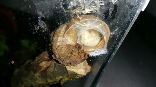 2017-07-21 10.00.55.jpg