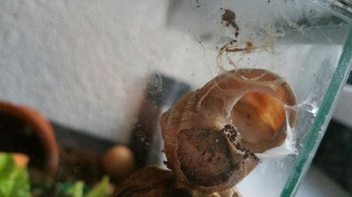 2017-07-21 10.01.30.jpg