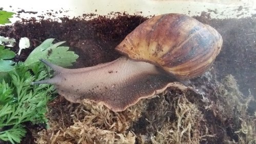 20170723_113654.jpg
