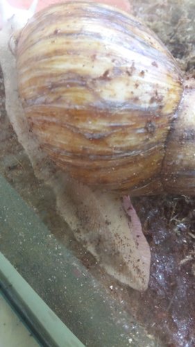 20170723_121403.jpg