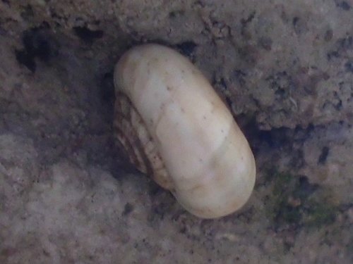 20170727_5025.jpg