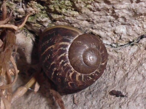 20170727_4993.jpg