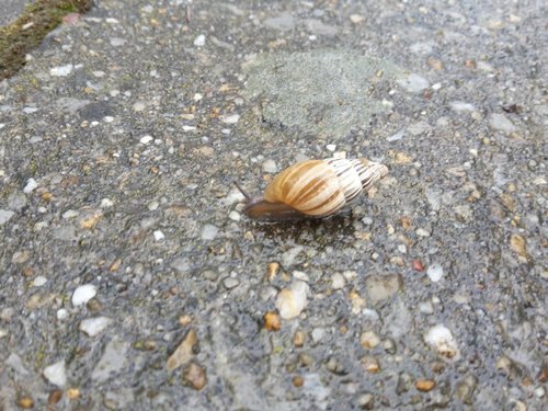 20160503_111436.jpg