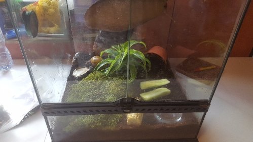 Terra Hort neu.jpg