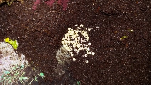 20170730_210158.jpg