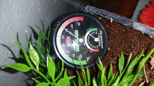 20170801_182645.jpg