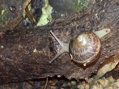 20170731_215516.jpg