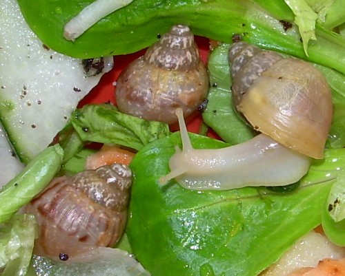 DSCN8834_2.JPG