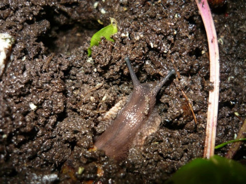 P1320134.JPG