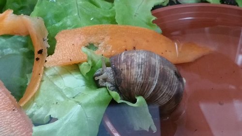 2017-08-13 15.54.53.jpg