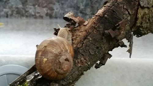 2017-08-13 15.53.25.jpg