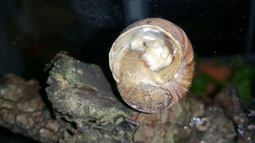 2017-08-13 15.51.05.jpg