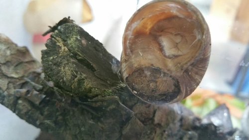 2017-08-13 15.50.34.jpg