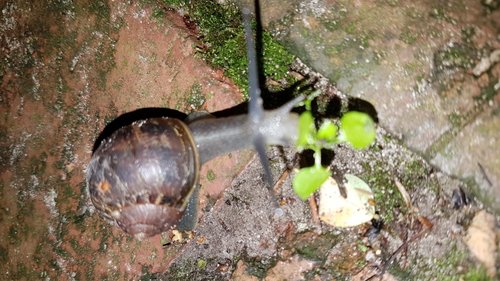 20170817_225951.jpg