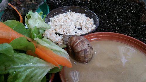 2017-08-19 11.57.38.jpg