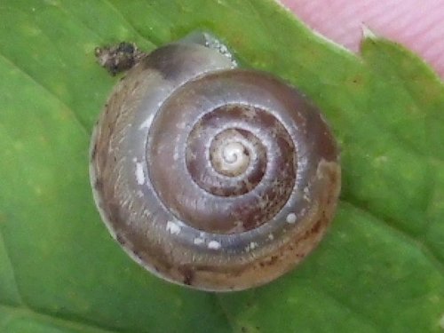 20170820_5639.jpg