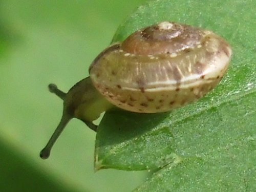 20170820_5643.jpg