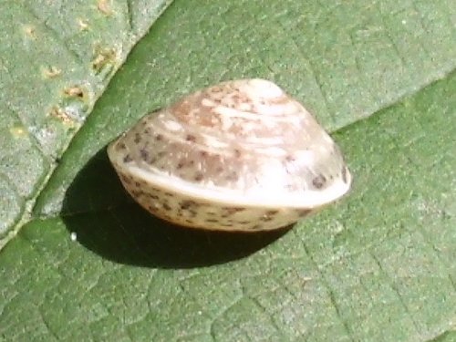 20170822_5708.jpg