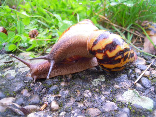 DSCN9230.JPG